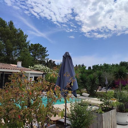 B&B La Terre Brulee Aigues-Mortes Kültér fotó