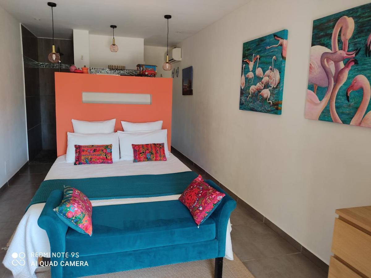 B&B La Terre Brulee Aigues-Mortes Kültér fotó