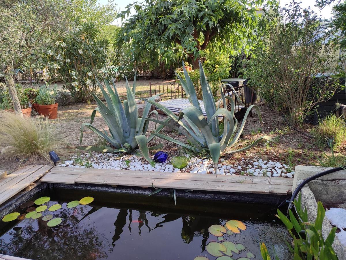 B&B La Terre Brulee Aigues-Mortes Kültér fotó