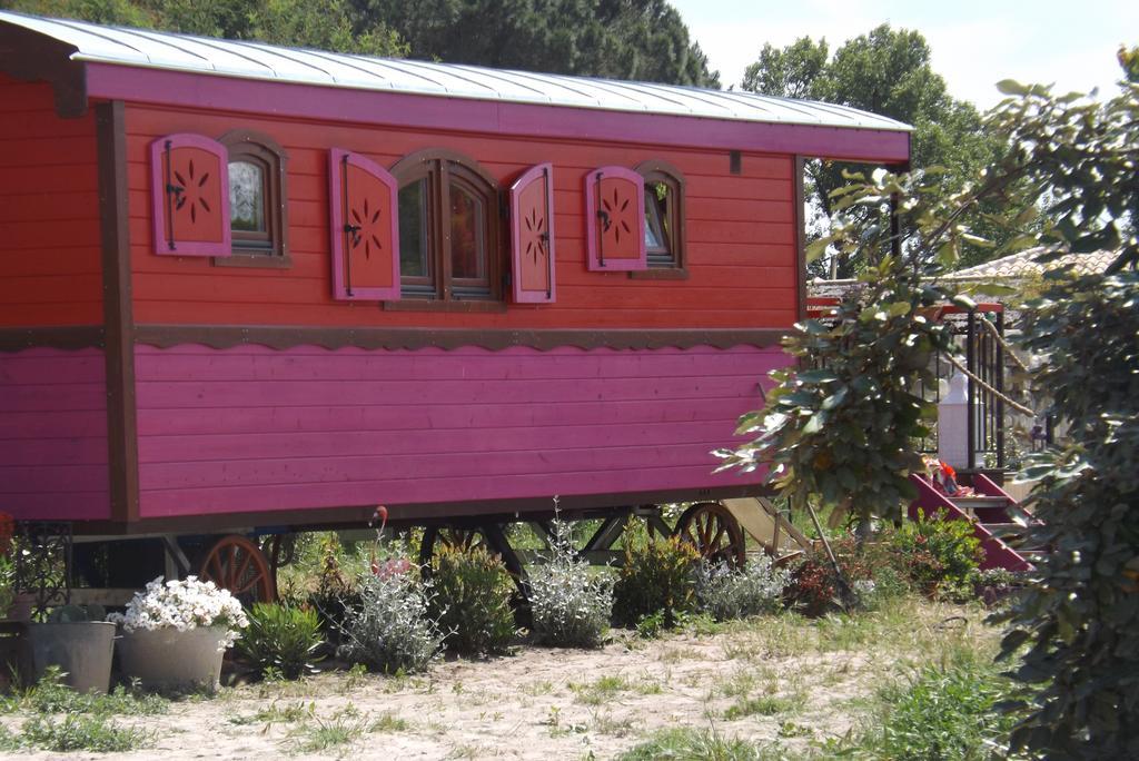B&B La Terre Brulee Aigues-Mortes Kültér fotó